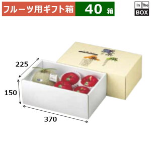 t[cpMtg AFʐW C[oGeB 225×370×150(mm) 68kgNX1+284u40v