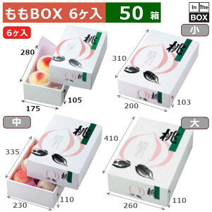 BOX APY@6 280×175×105(mm) LTCY6u50v