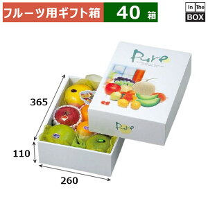 t[cpMtg sA B 260×365×110(mm) O[vt[c369`10A3210u40v