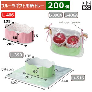 t[cMtgpg[ EF[ug[ sN 205×135×60i75j(mm) u200v