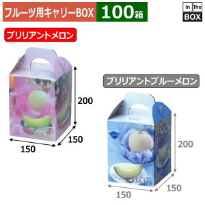 フルーツ用キャリーBOX ブリリアントメロン 1ヶ入 150×150×200(mm) 6玉,8kgクラス1個「100箱」