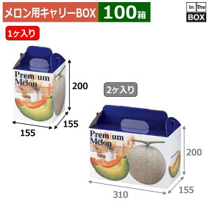 メロン用キャリーBOX プレミアムメロン 1ヶ入り 155×155×200(mm) 青肉・赤肉5玉9kg1個「100箱」