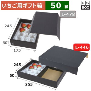 pMtg C`SNbVp2P 355×245×60(mm) u50v