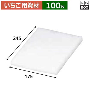 p NbVp 킽 175×245(mm) u100v