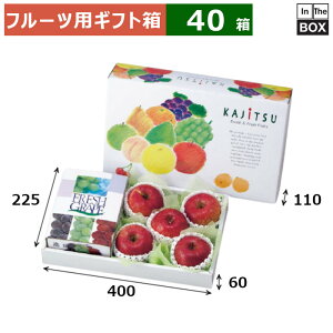 t[cpMtg ʎpbg  400×225×110ig[60j(mm) Ԃǂ1kg1+or365u40v