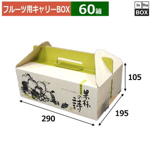 t[cpL[BOX ʗт̎  290×195×105(mm) 񂲁EE5`6u60v