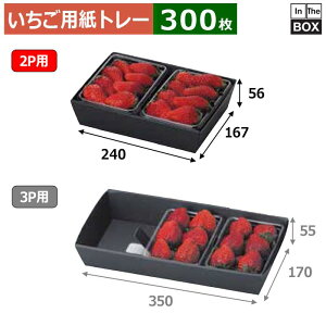 pg[ pbN2Pp g[ 240×167×56A217×151(mm) 300g2pbNu300v
