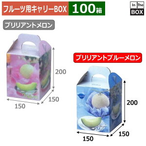 フルーツ用キャリーBOX ブリリアントブルーメロン 1ヶ入 150×150×200(mm) 6玉,8kgクラス1個「100箱」