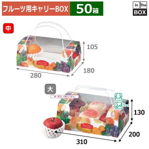 t[cpL[BOX Rrl[V  310×200×130(mm) 2L2L6u50v