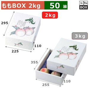����BOX ���̋��@2kg 295×225×110(mm) �u50���v