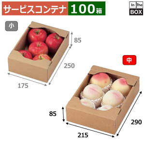 T[rXRei C5T[rX  215×290×85(mm) 2L6u100v