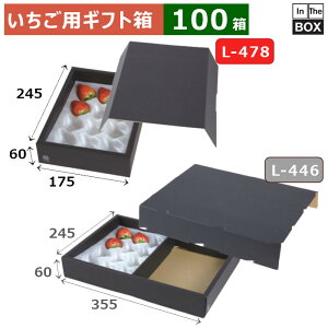 pMtg C`SNbVp1P 245×175×60(mm) u100v