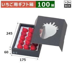 いちご用ギフト箱 イチゴ窓開PP貼り 245×175×60(mm) 「100箱」
