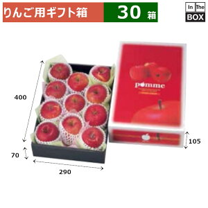 񂲗pMtg Abvpbg 3kg 400×290×105(g[70)(mm) u30v