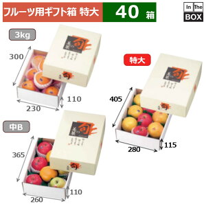 t[cpMtg {̔  280×405×115(mm) 3212u40v