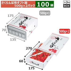 ڗpMtg ڃol1kgR` 270×172×55(mm) olE500gpbN2Pu100v