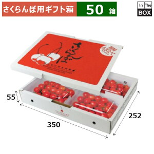ڗpMtg 200g×4P 350×252×55(mm) 200g×4Pu50v
