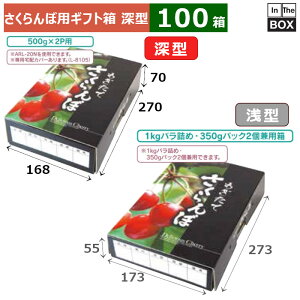 ڗpMtg Ă [^ BK 270×168×70(mm) 500g×2Pu100v
