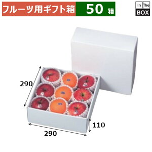 t[cpMtg zCg 290p 290×290×110(mm) 289u50v