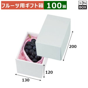 t[cpMtg p[16 130×200×120(mm) Ԃǂ1[u100v
