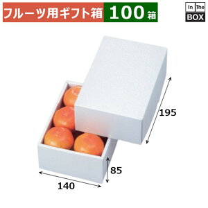 t[cpMtg p[17 140×195×85(mm) ݂1.2kgu100v