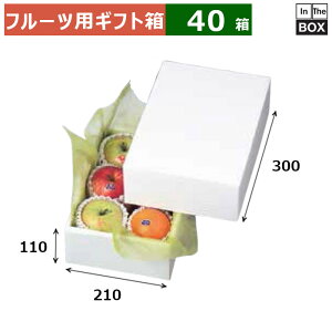 t[cpMtg zCg 2 210×300×110(mm) 286u40v