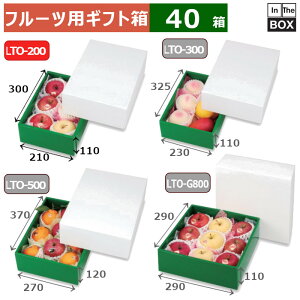 t[cpMtg OX2 gO[ 210×300×110(mm) 286u40v