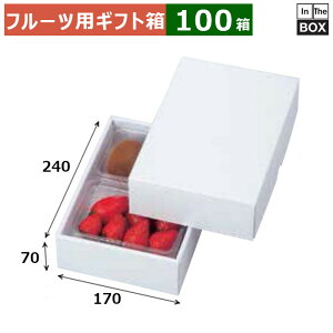 t[cpMtg p[21 170×240×70(mm) C`S300gg[×2pbN u100v