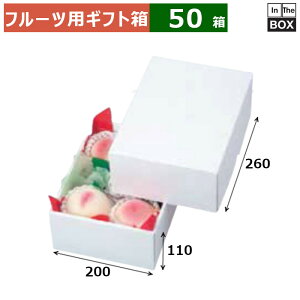 t[cpMtg p[24 200×260×110(mm) LTCY5u50v