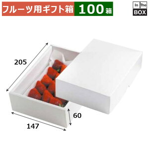 t[cpMtg p[36 147×205×60(mm) ܂䕂̑傫߂̃g[×1pbNu100v