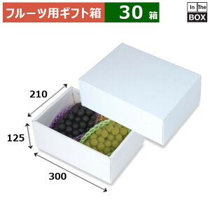 t[cpMtg zCg  [ 285×400×175(mm) 3224u30v