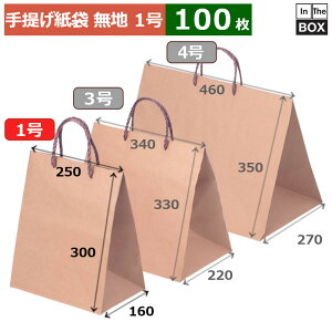 񂰎 n Ntg1 250×160×300(mm) u100v