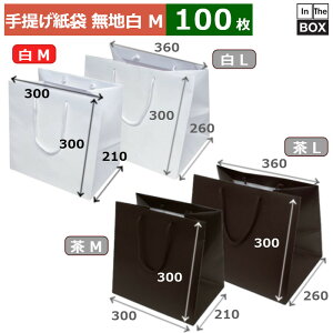 񂰎 n XbK[obO }`LM 300×210×300(mm) u100v