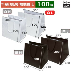 񂰎 n XbK[obO }`LL 360×260×300(mm) u100v