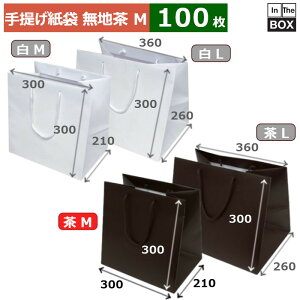 񂰎 n XbK[obO }`LM 300×210×300(mm) u100v