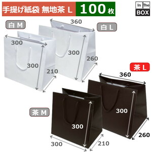 񂰎 n XbK[obO }`LL 360×260×300(mm) u100v