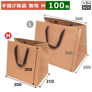 񂰎 n NtgЂobO }`LM 300×210×300(mm) u100v