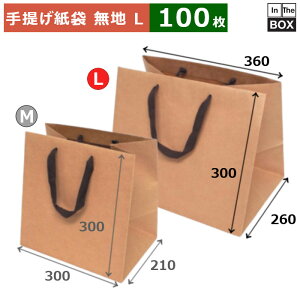 񂰎 n NtgЂobO }`LL 360×260×300(mm) u100v