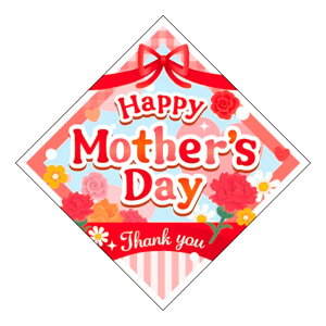 ̑V[u̓v 43×43mmu1300v