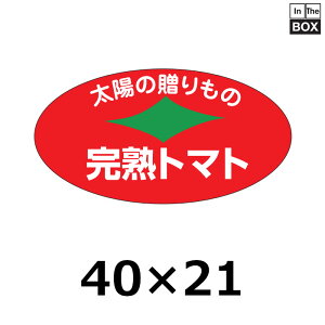 ̑V[ung}gv40×21mm u11000v