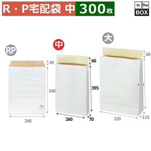  REPz(j 260×70×395{60(mm) u300v