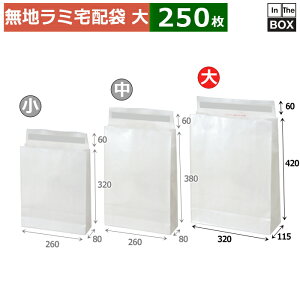  WP PETz܁ij 320×115×420+60(mm) u250v