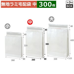  WP PETz܁ij 260× 80×380+60(mm) u300v