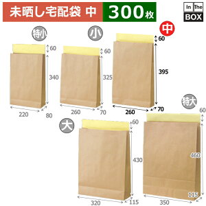  Nz(j 260×70×395{60(mm) u300v