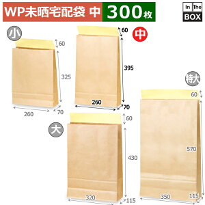  WPNz(j 260×70×395{60(mm) u300v
