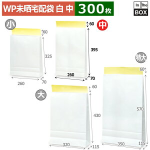  WPNz(j 260×70×395{60(mm) u300v