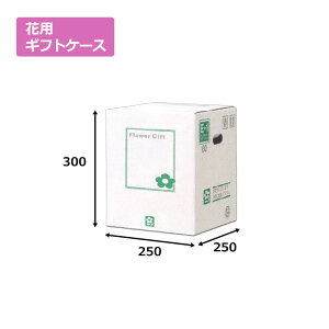 ԗpMtgP[XE-1u50vGRm~[^Cv @Mtgp  bsO  z _{[ i{[