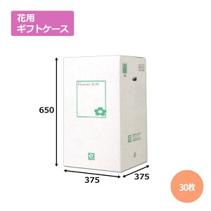 ԗpMtgP[XE-5u30vGRm~[^Cv @Mtgp  bsO  z _{[ i{[