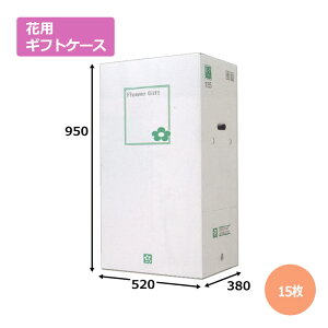 ԗpMtgP[XE-7u15vGRm~[^Cv @Mtgp  bsO  z _{[ i{[