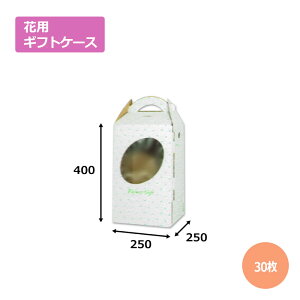 ԃP[XF-1u30v񂰁E^p^Cv@Mtgp  bsO  z _{[ i{[